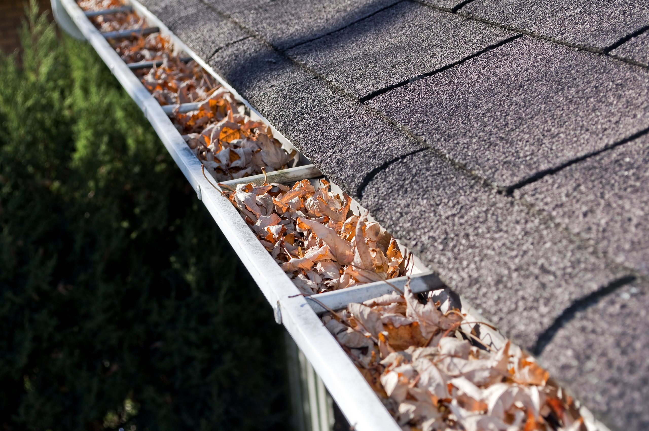 3 Ways To Reduce Gutter Noise - Premiere Roofing